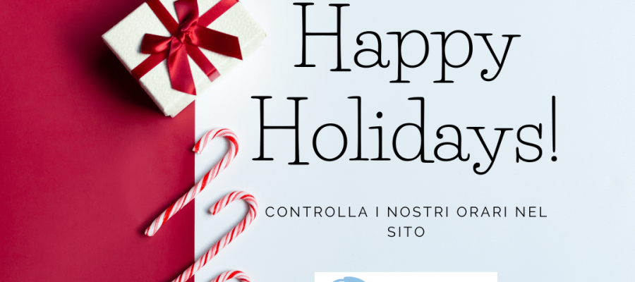 Festività Natalizie 2025 Visani